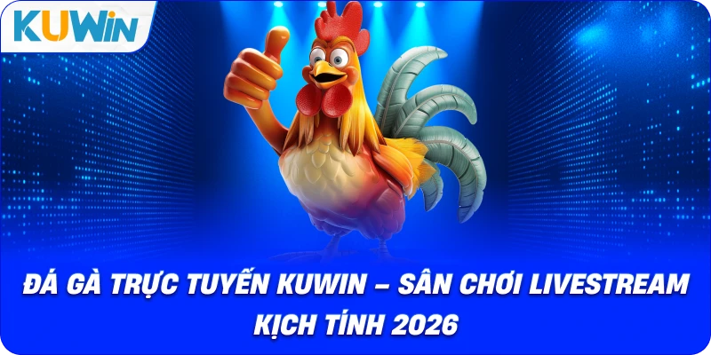 Đá Gà Trực Tuyến Kuwin – Sân Chơi Chọi Gà Kịch Tính 2026