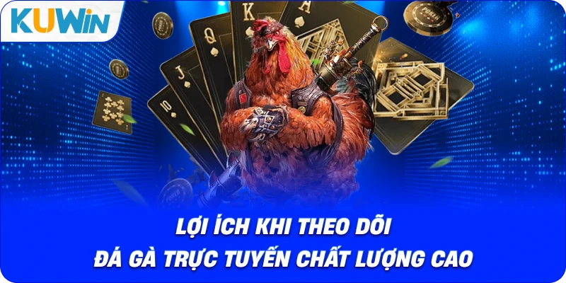 lợi ích khi theo dõi đá gà trực tuyến chất lượng cao