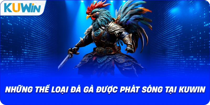 những thể loại đá gà được phát sóng tại kuwin