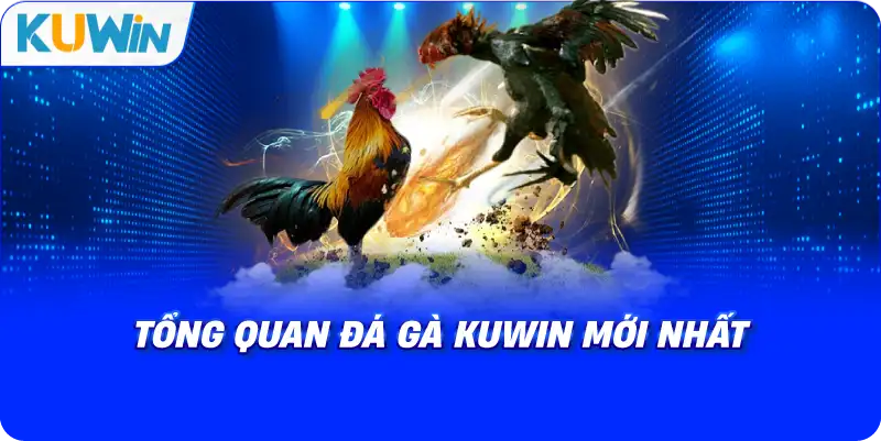 Tổng Quan Về Sảnh Chọi Kê Trực Tuyến